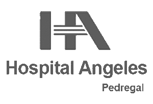 hospital angeles pedregal